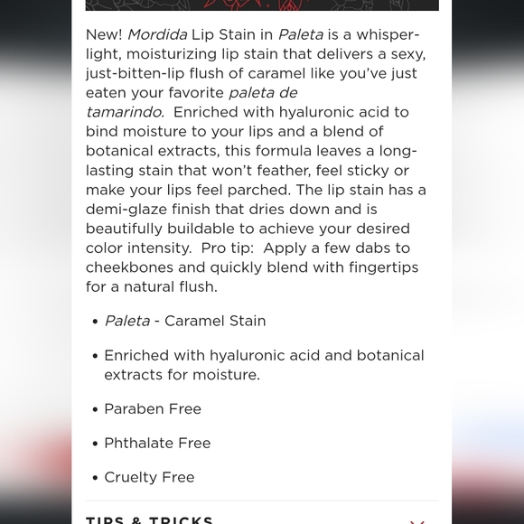 Rena Rebelde Makeup Rena Rebelde Mordida Lip Stain In Paleta Poshmark